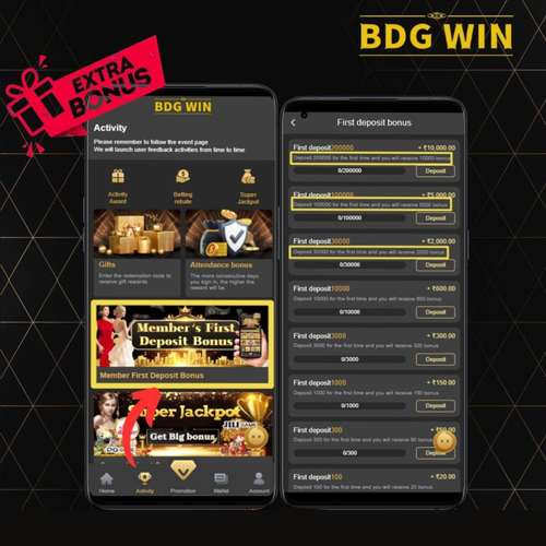 bdg demo account.png