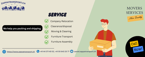 Packers and Movers Envelope Ivory par Dhoosar ke saath Illustrated Style.png