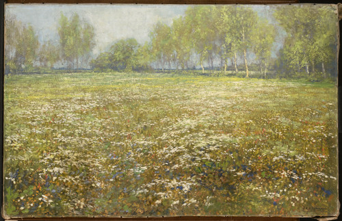 Schaap, Egbert Цветущий луг, 1912, 58,5 cm х 92 cm, Холст, масло