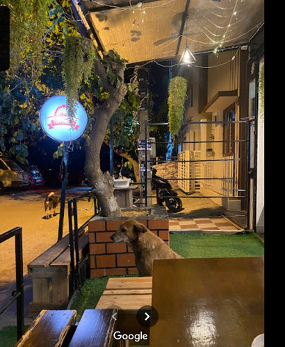 Handcrafted sourdough in Bengaluru (2).jpg