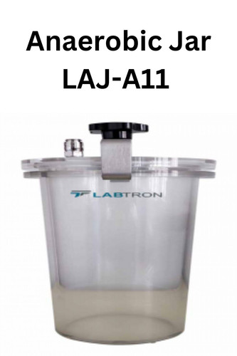 Anaerobic Jar LAJ A11.jpg