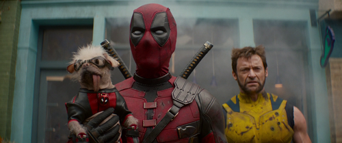 vlcsnap 2024 09 30 15h54m53s515.png