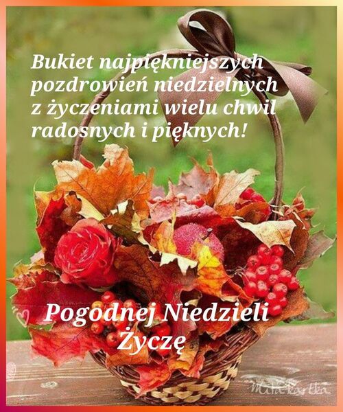 500x600 PogodnaNiedziela.jpg