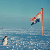 Adelie penguin stands beside the apartheid era South African flag, Antarctica, 1966