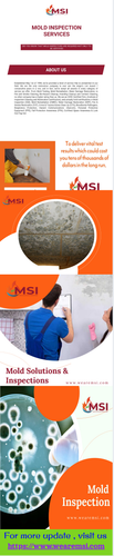 MSI Offers Professional Mold Inspection Services.png