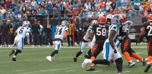 GIF 9 29 2024 12 48 00 PM.gif