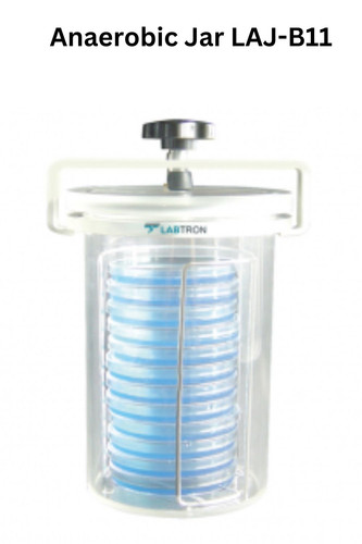 Anaerobic Jar LAJ B11.jpg