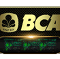 bcaon8