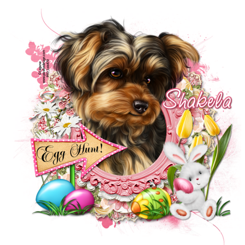 egghunt shakela.png