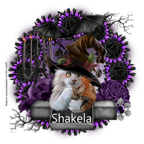 siggy piggy gothic nightmare shakela.png