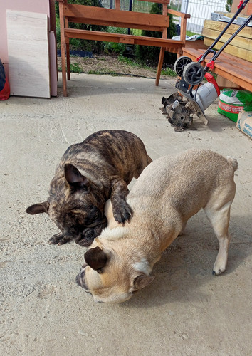 IMG 20240416 070151.jpg