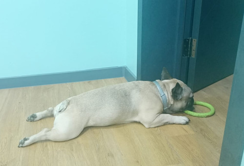 IMG 20240406 082311.jpg