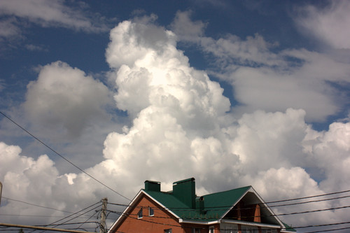 IMG 2494.jpg