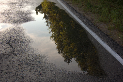 IMG 2477.jpg