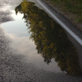 IMG 2477