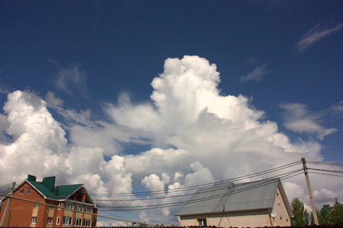 IMG 2495.jpg