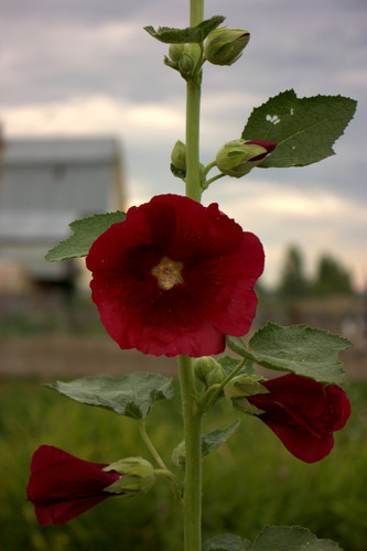 IMG 2510.jpg