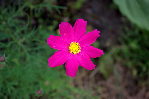 IMG 2511.jpg