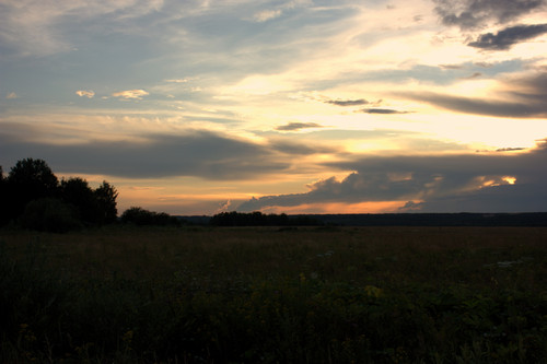 IMG 2521.jpg