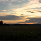 IMG 2521