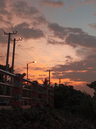 IMG 20240730 185649 329.jpg