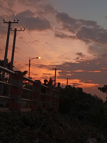 IMG 20240730 185715.jpg