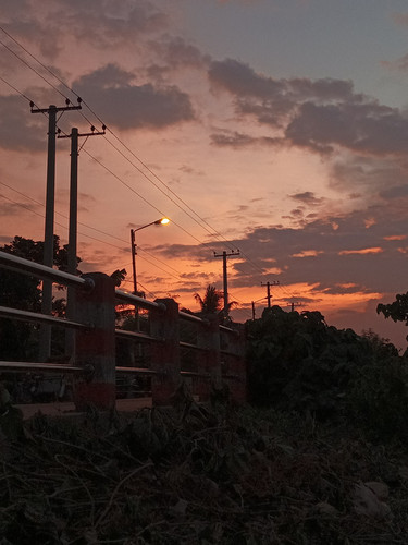 IMG 20240730 185742.jpg