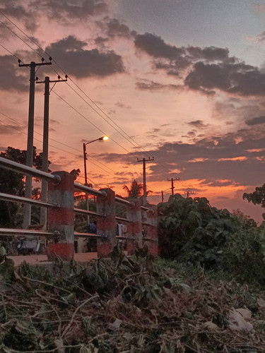 IMG 20240730 185748 DRO.jpg