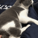 不怕贼偷，就怕他惦记.gif