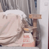 在哪里跌倒，就在哪里躺下.gif