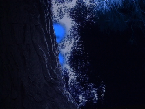 The.Journey.of.Allen.Strange.S01E01.Arrival.576p.PMTP.WEB DL.AAC.2.0.H.264 SWAN 004.png