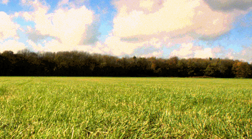 GIF 2024 7 31 星期三 21 54 21.gif