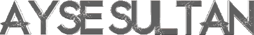 11.gif