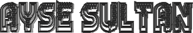 4.gif