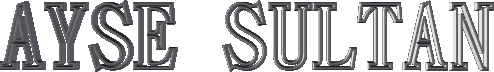 6.gif