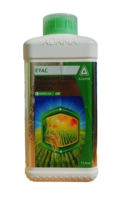 Eyal