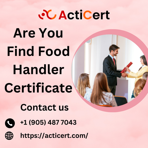Are You Find Food Handler Certificate.png