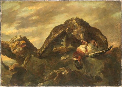 Fijt, Jan Орлы на скалах, 1857, 52 cm х 57 cm, Холст, масло