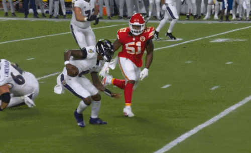 GIF 9 5 2024 8 35 51 PM.gif