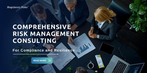 Comprehensive Risk Management Consulting for Compliance and Resilience.jpg