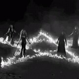 a50cdf30e3d3c6b1ddeca063e0013c2a.gif