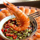tomluoc2401