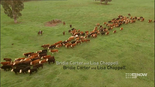 cap McLeod's Daughters S 01 Ep 01 of 22 Welcome Home [720p][DL][TDL] 00 00 16 02.png