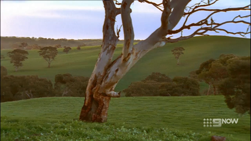 cap McLeod's Daughters S 01 Ep 01 of 22 Welcome Home [720p][DL][TDL] 00 00 06 01.png