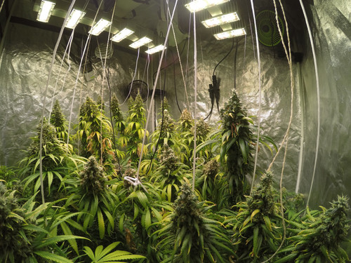 GOPR3505 1597566133262