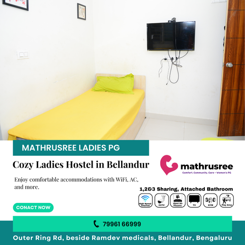 Looking for a ladies' paying guest in Bellandur?.png