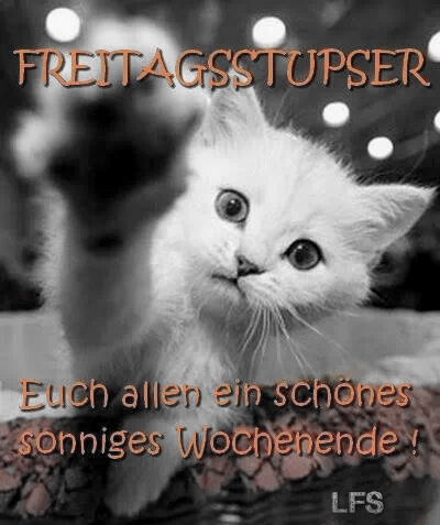 Freitag.jpg
