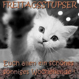Freitag