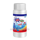 WhatsApp Image 2024 08 29 at 16.44.40