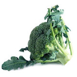 brocoli organico x lb